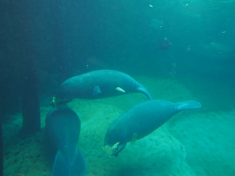 P3230771